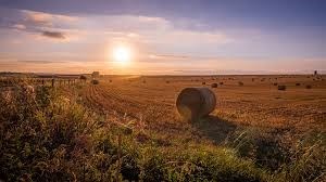 Obituario de Jack Claire CUTTING