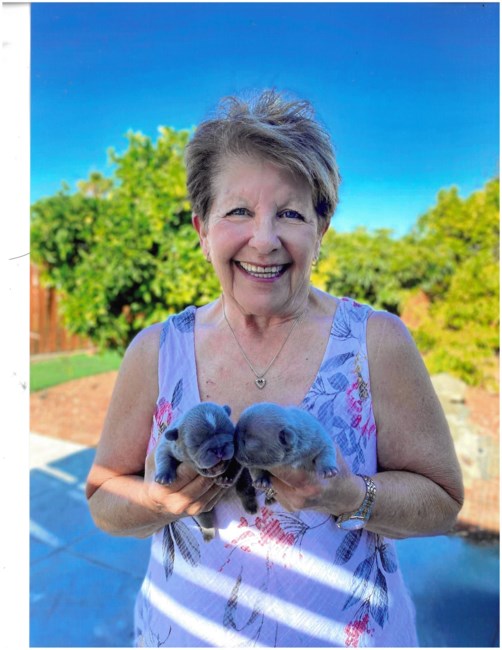 Obituary of Elyse Gay Garcia