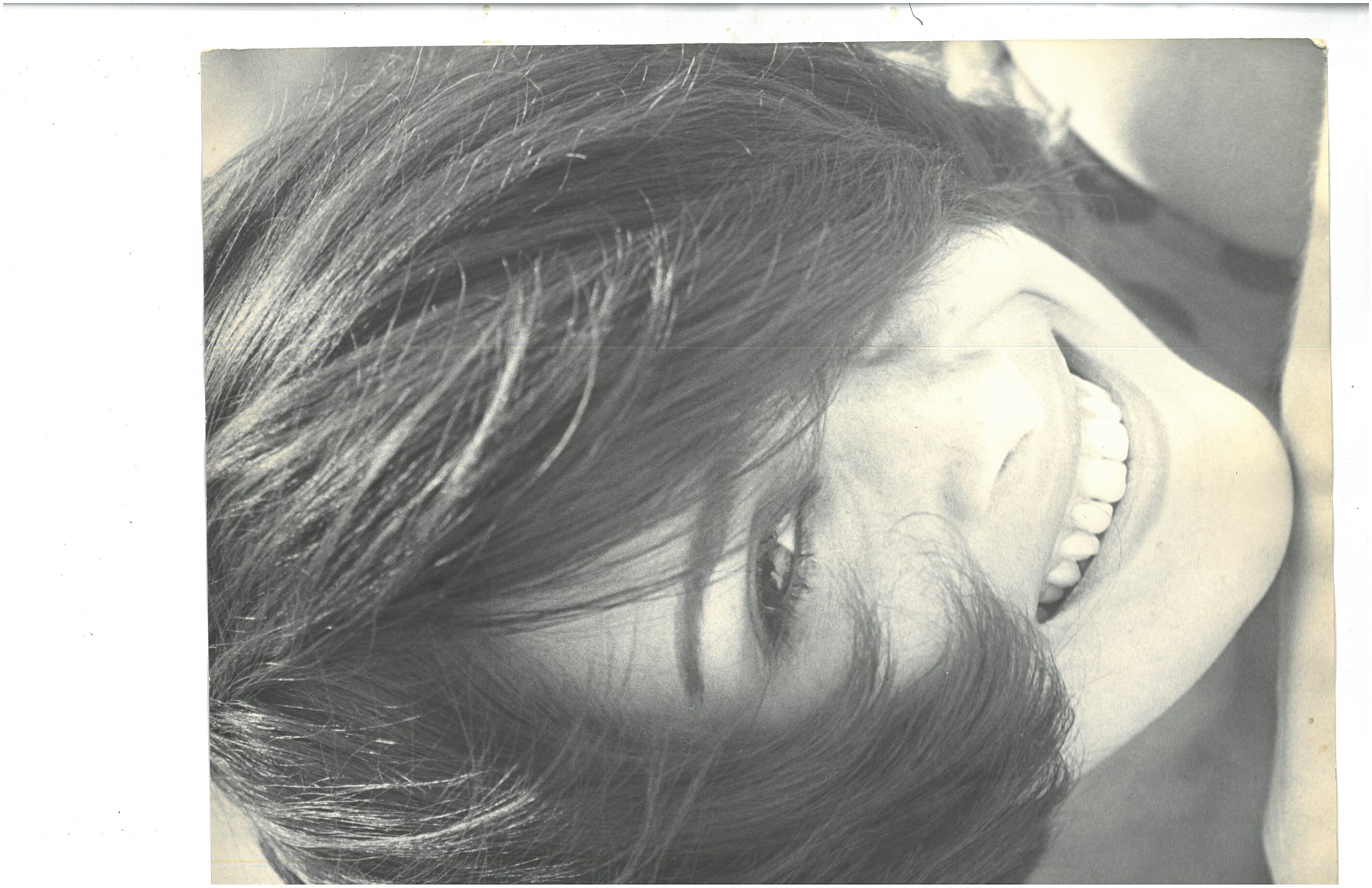 Obituary of Diane Steinberg