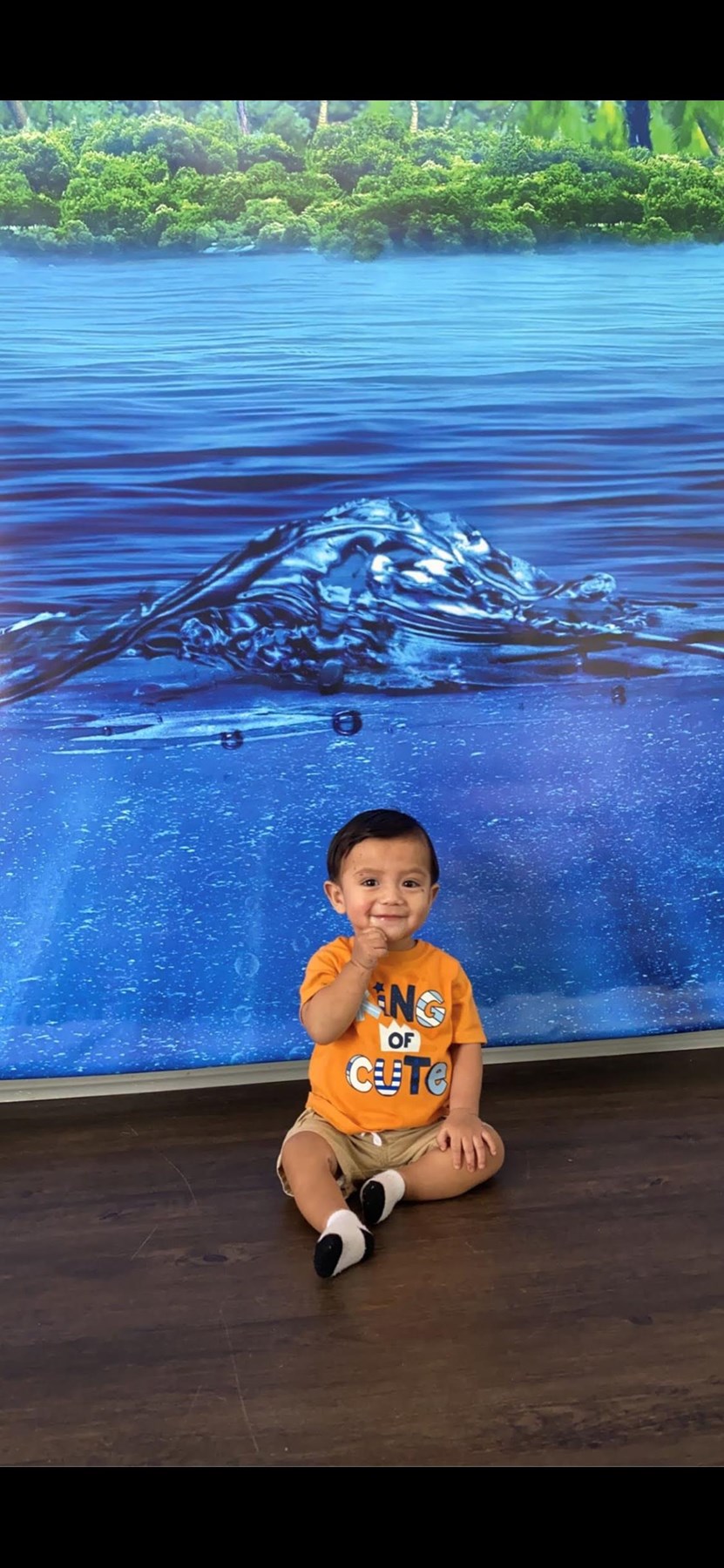 Obituary of Junior Jose Ortiz-Rodriguez