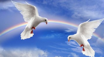 Obituary of Vivian Norma TOM