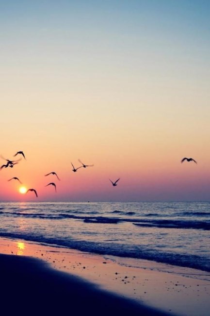 Obituary of Rebecca Bertha Oliva