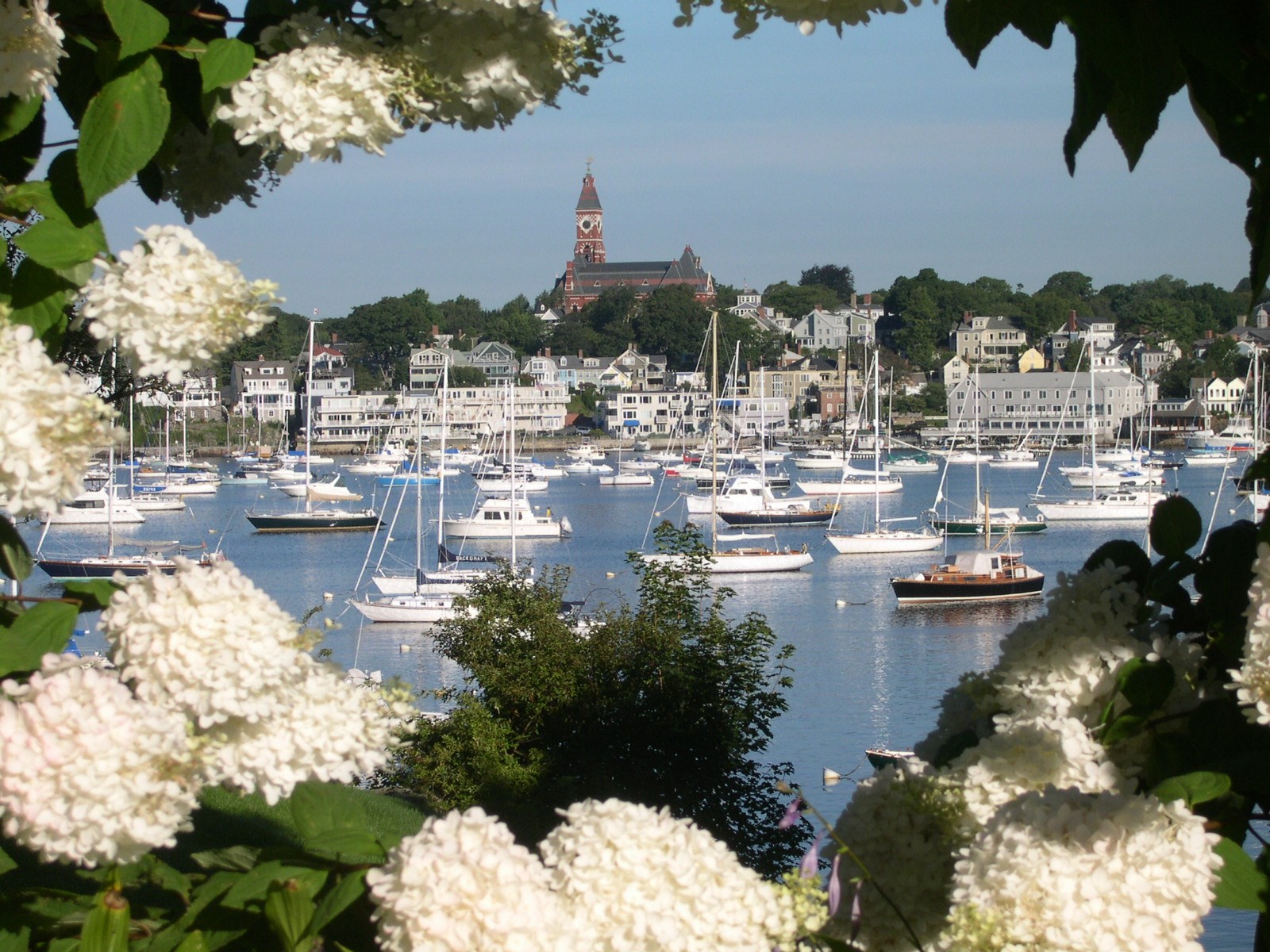 Grace Williams Obituary Marblehead, MA