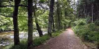 Obituary of Joyce Elaine Goodrich