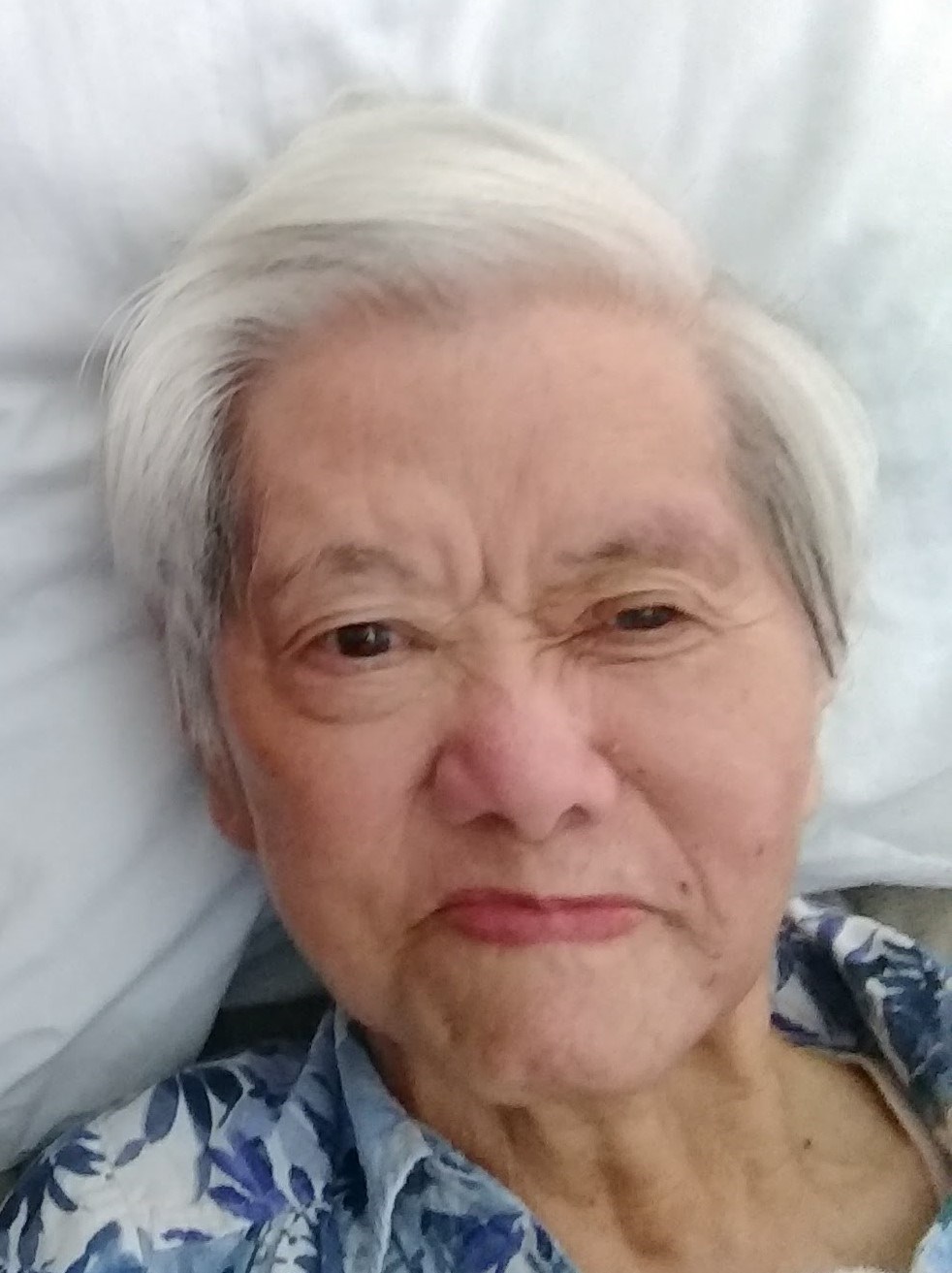 Obituary of Anh An Phan