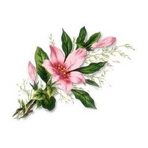 Obituary of Josephine Jo L. Pritchard