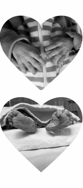 Obituary of Brandon Lee Holt Jr.