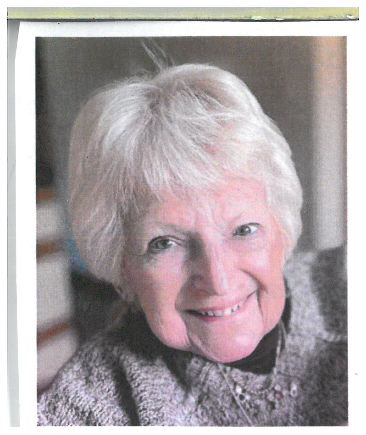 Joyce Lynn Sustr Obituary Chicago, IL