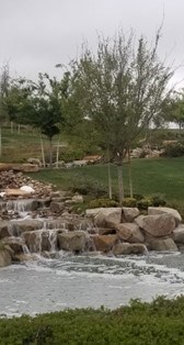 Obituary of Lucy Burnell Payton