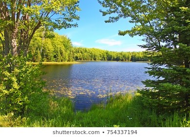 Obituary of Jason Patrick Rexroad