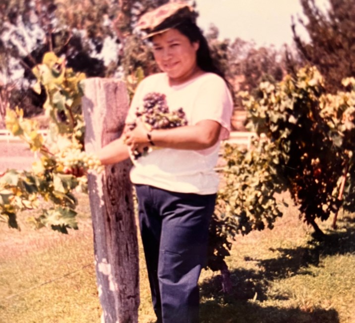 Obituary of Frances C Chapa