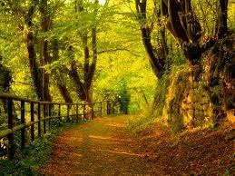 Obituary of Patsy Anatala