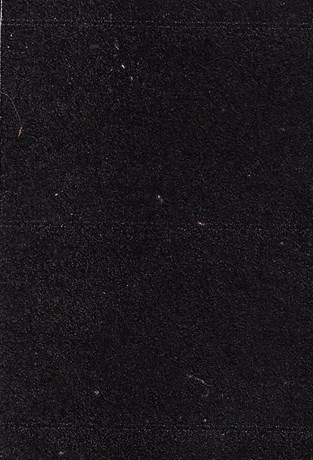 Suzanne McCann Obituary - Marysville, WA