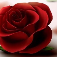 Obituary of Deborah Howard