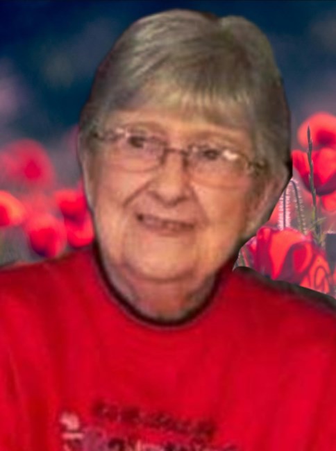 Obituary of Sue Ann Butor