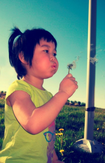 Obituary of Heidi Q Chou