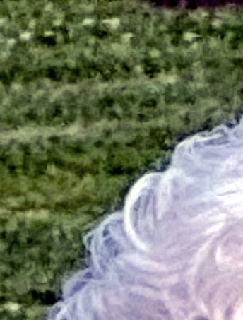 Janice Riddle Michign Janice Hine Obituary - Clinton Township, MI