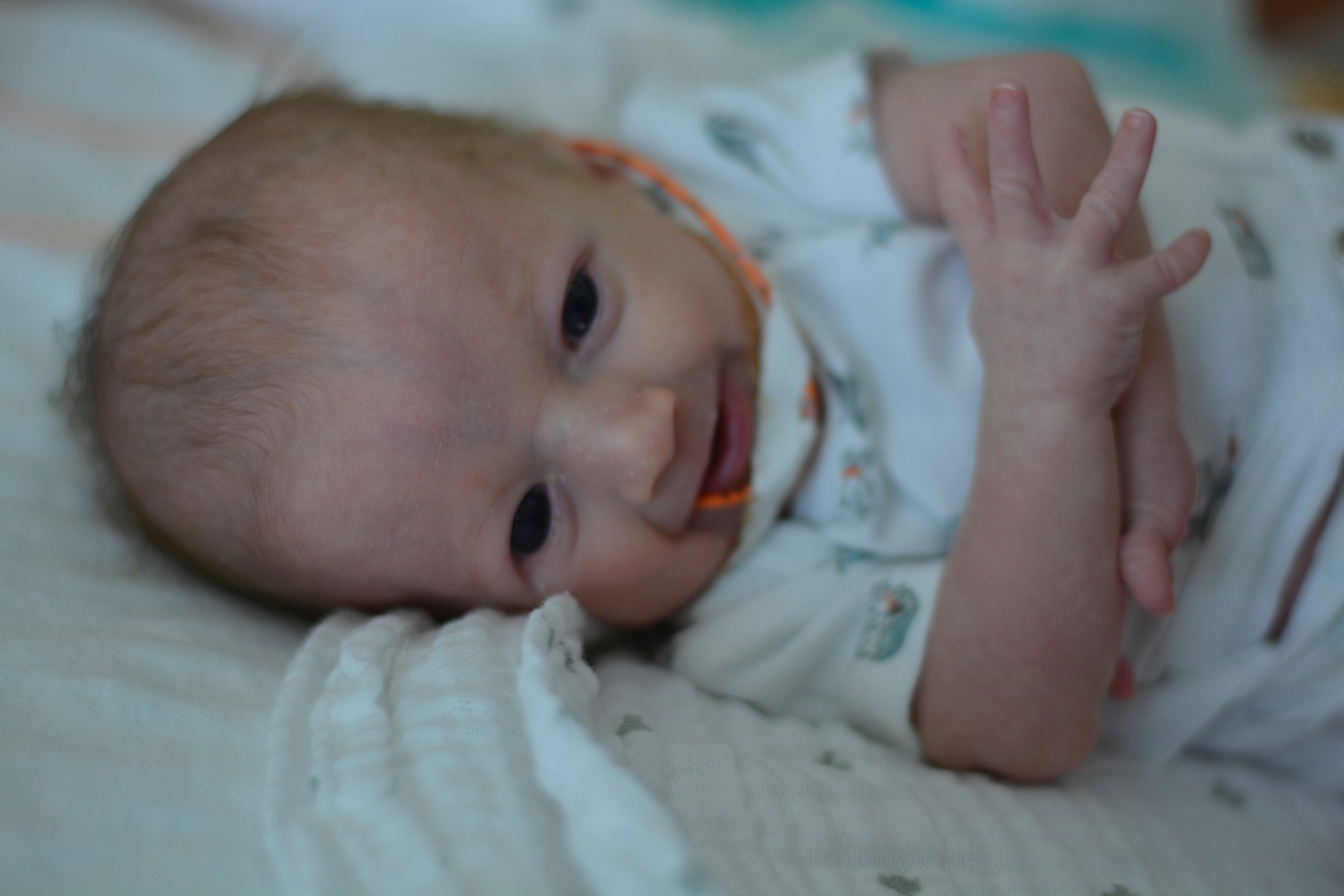 Obituary of Lincoln Anthony Sherman