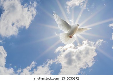 Obituary of Rosa M. Gutierrez