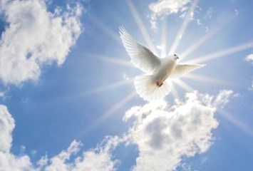 Obituary of Rosa M. Gutierrez