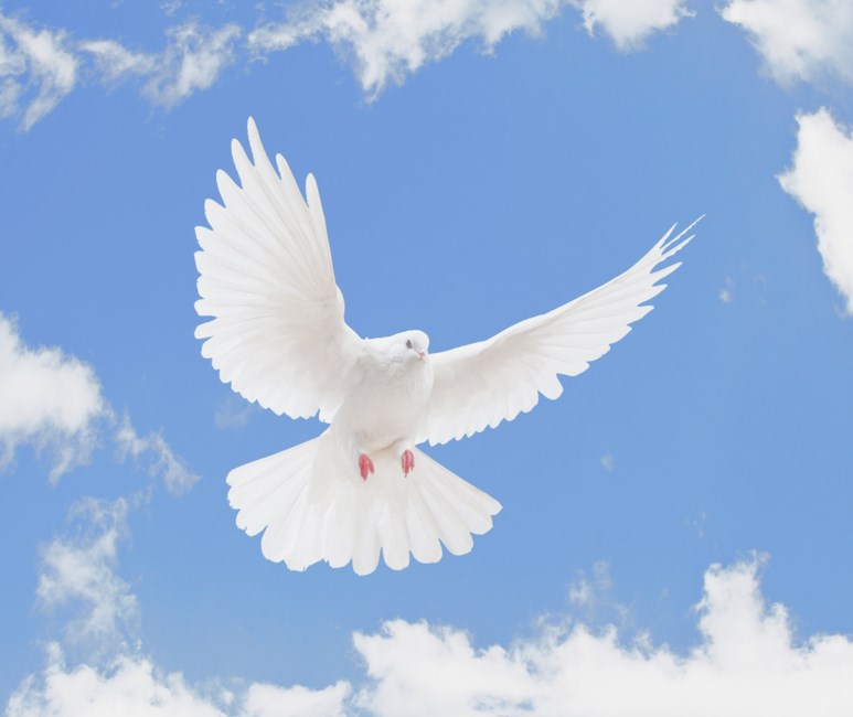 Obituario de Martha Schultz