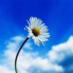 Obituary of Jesse S. Binford