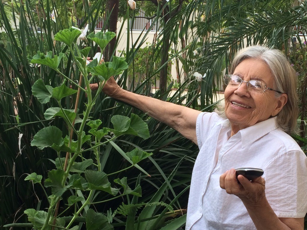 Obituary of María de Jesús Álvarez