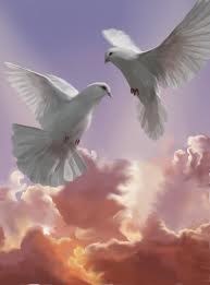 Obituary of Jose Gonzalez