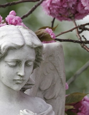 Obituary of Norene Carol Evans