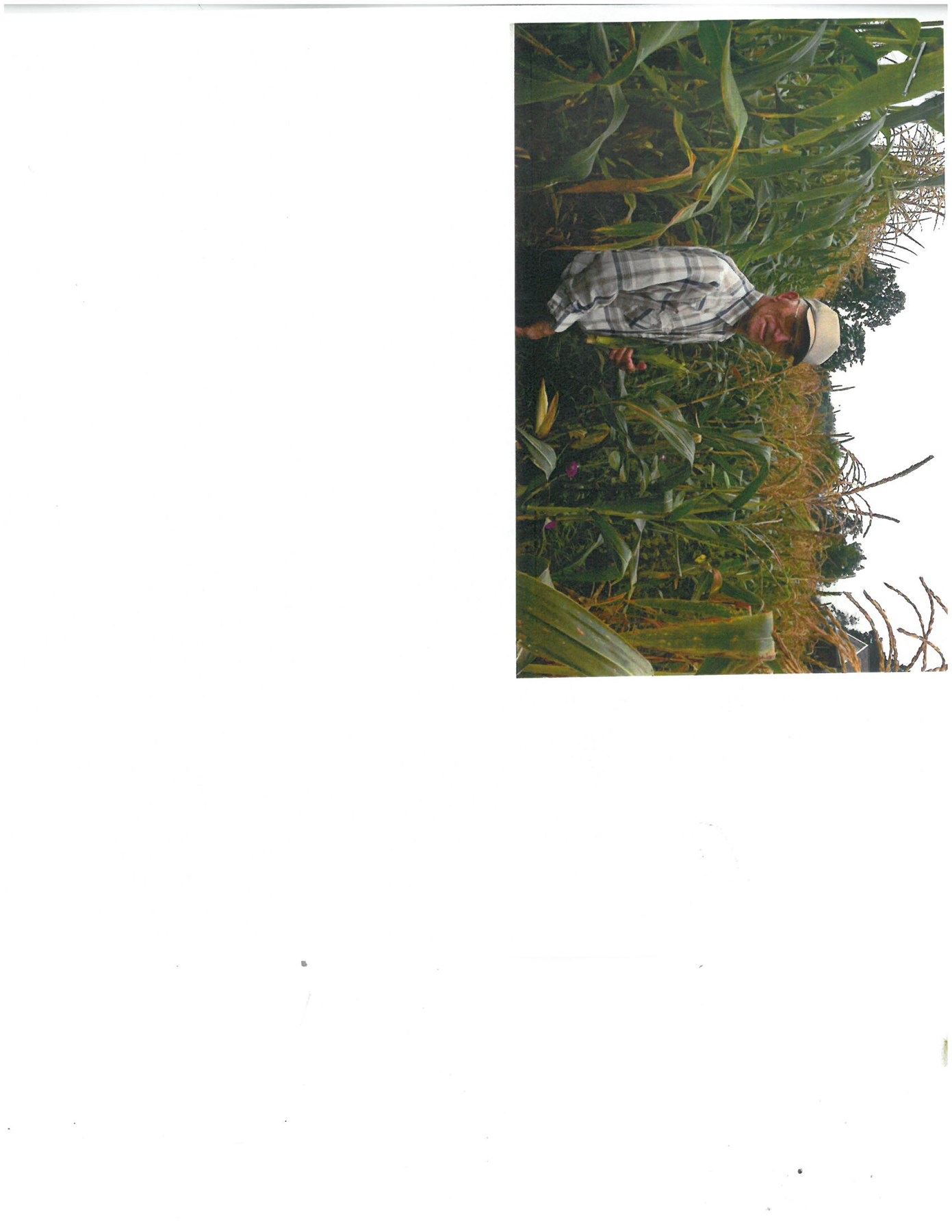 Charles Palmer Obituary Martinsburg, WV