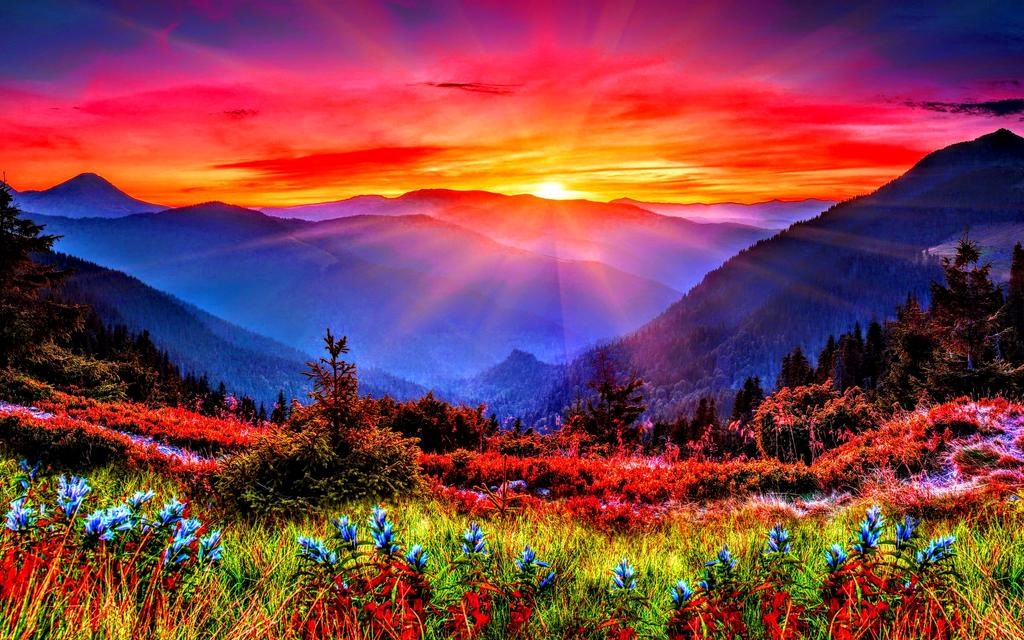 Obituary of Margie Jean Batliner