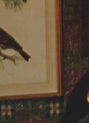 Richard Millhouse Obituary Fort Wayne, IN
