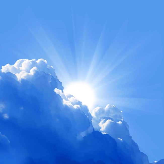 Obituary of Joan C. Burton