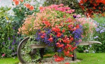 Obituary of Kallie Irene Campbell