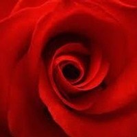 Obituary of Tommie Ely Budkoski