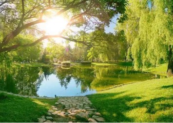 Obituario de Ronnie Lee Kohler