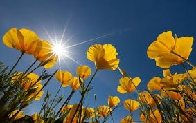 Obituary of Evelyn Kristine Peterson