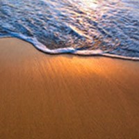 Obituary of Terrie Lynn Edwards