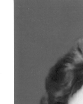 Denise Burke Obituary Naples, FL