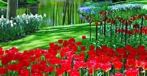 Obituary of Mary Saucedo