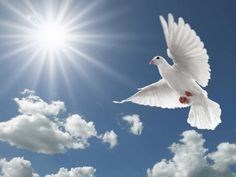 Obituary of Robert Winford McVicar