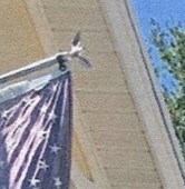 Carpenters Of America Winter Haven Fl Carpenters Of America Winter Haven Fl