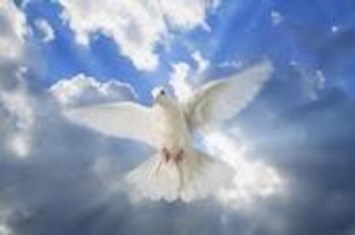 Obituary of Francisco Fred Lopez, Jr.