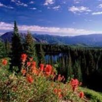 Obituary of Elizabeth Hope Boyd