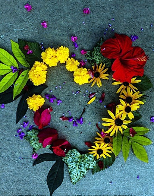 Obituary of Rosaleen Veronica Smith