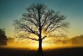 Obituary of Melvin L. Vos