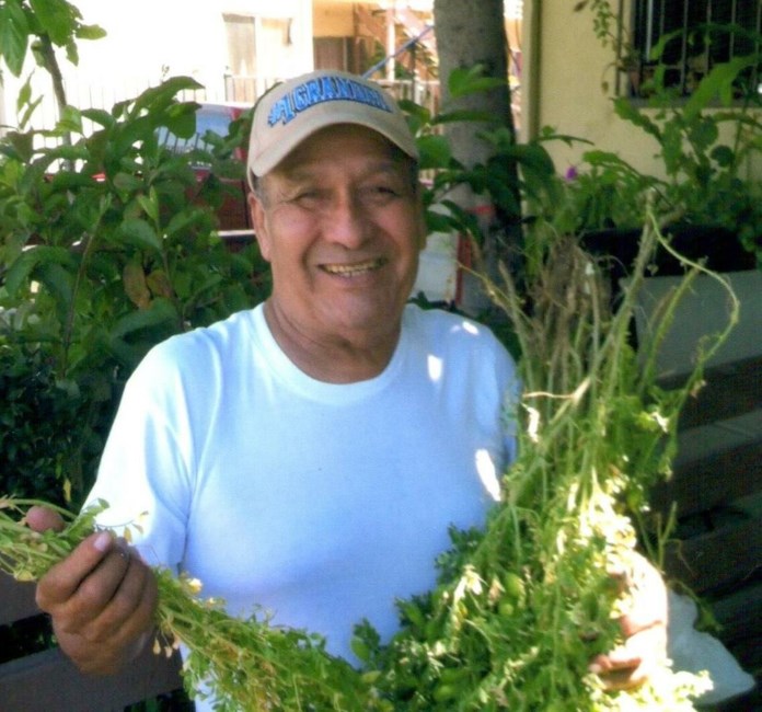 Obituary of Jose Guadalupe Cervantes