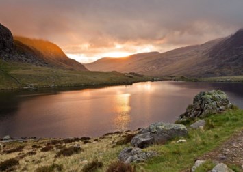 Obituary of Joseph Taccetta