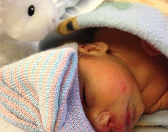 Obituary of Lauren AnneMarie Lemos