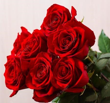 Obituario de Susan Morton Reitz